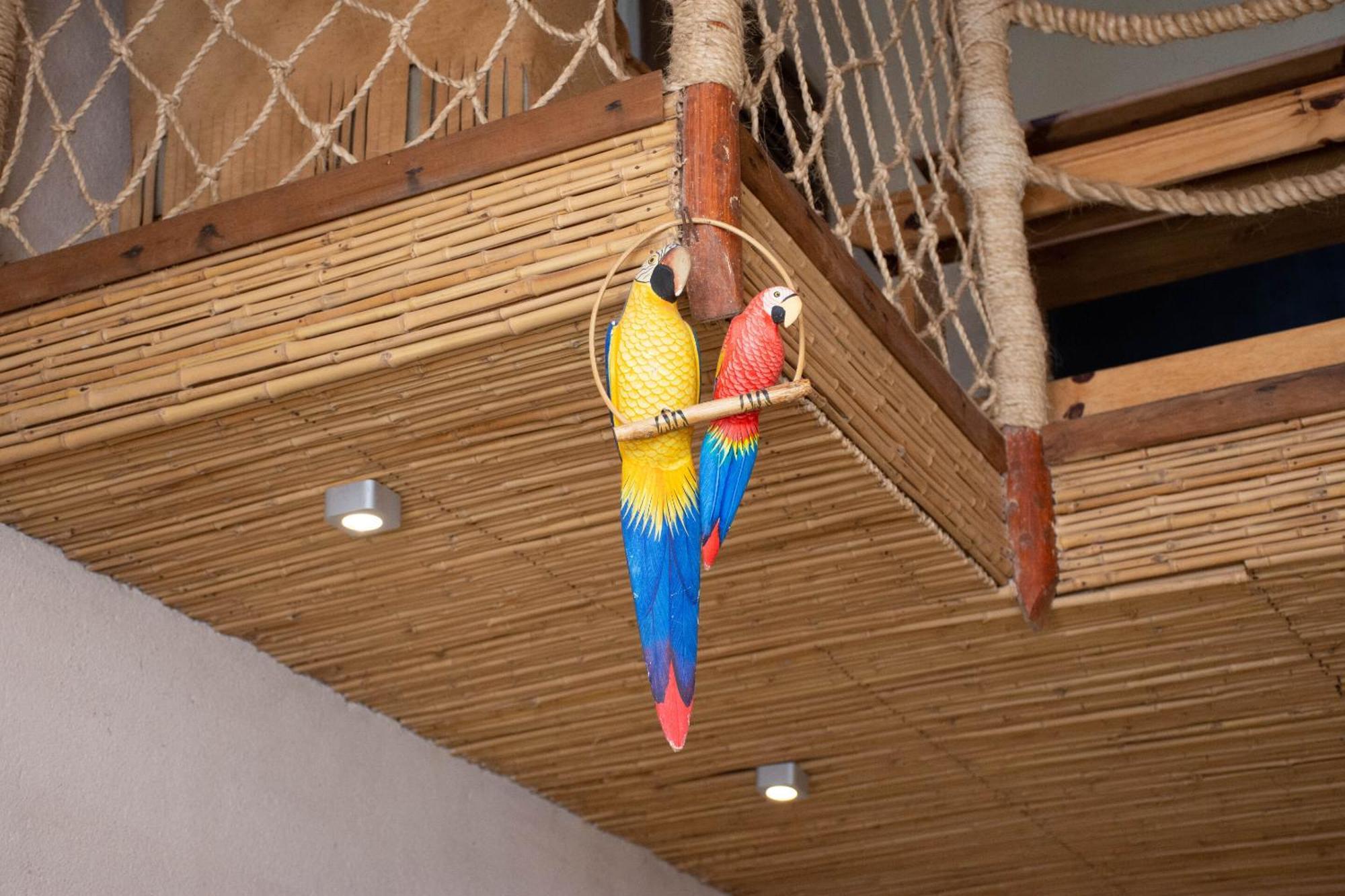 Demeure De La Compagnie Generale Des Huiles Precieuses Bed & Breakfast อิฟาตี ห้อง รูปภาพ